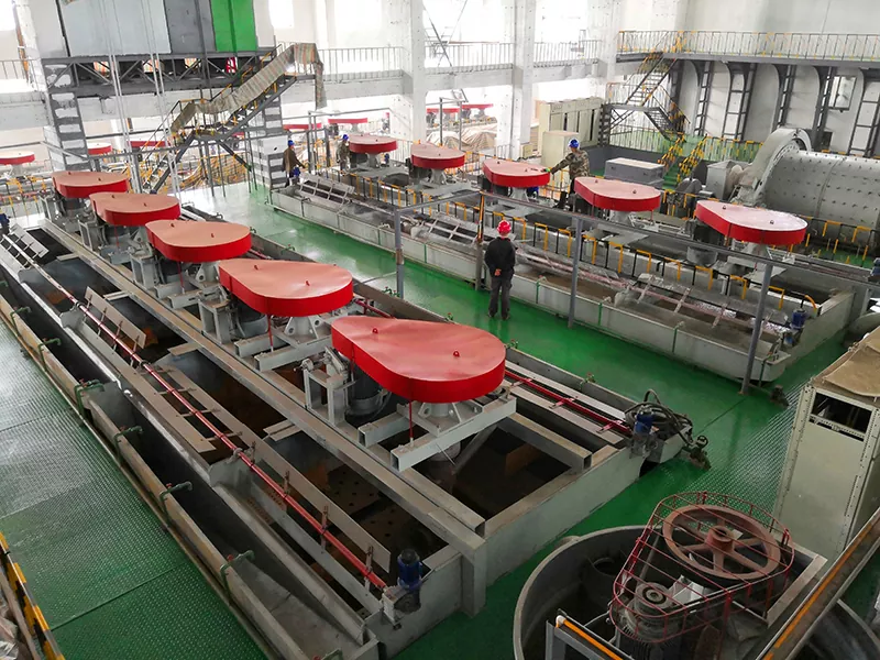 Selbstsspirierte mechanische Flotationszellen für grobes Granulat